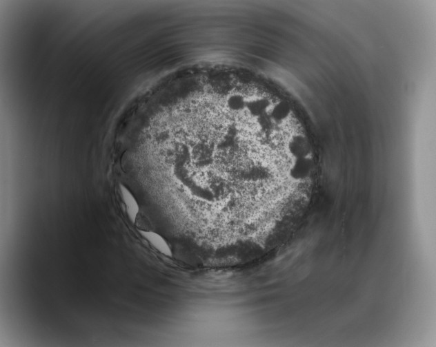 X0000089700823200707201738