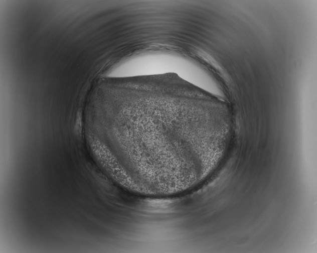 X0000089700825200707201738