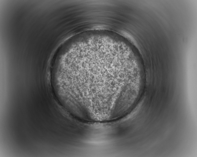 X0000089700827200707201738