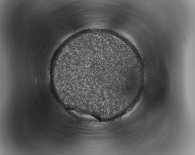 X0000089700829200707201738