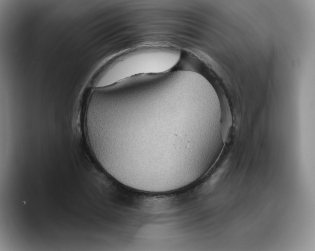 X0000089700830200707201738