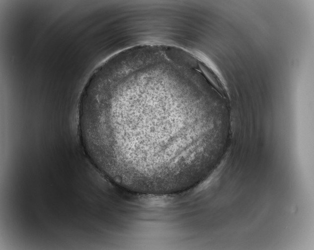 X0000089700831200707201738