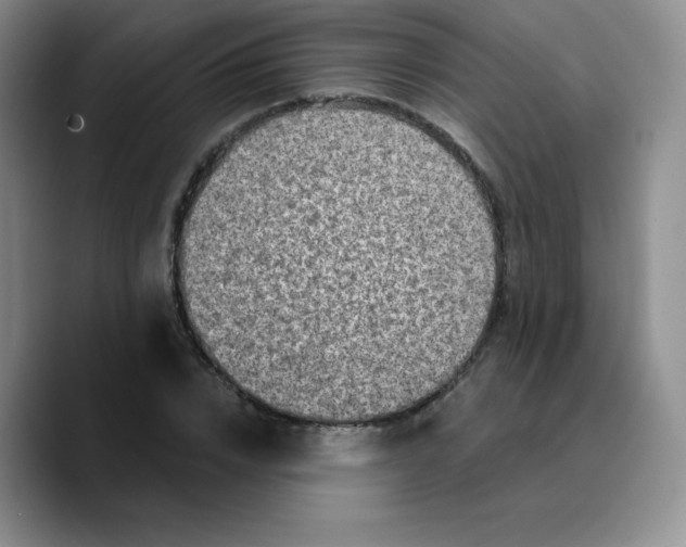 X0000089700832200707201738