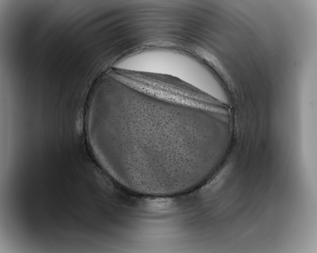 X0000089700833200707201738