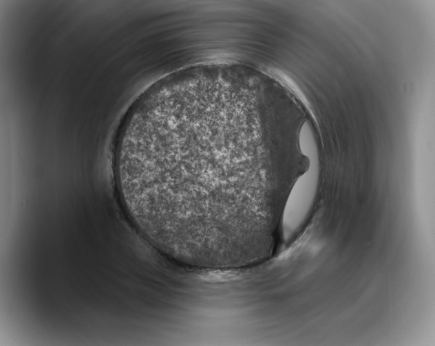 X0000089700835200707201739