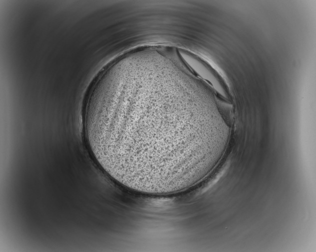 X0000089700837200707201739