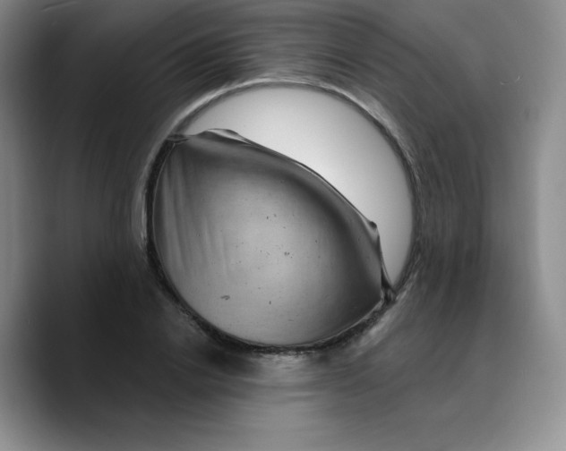 X0000089700838200707201739