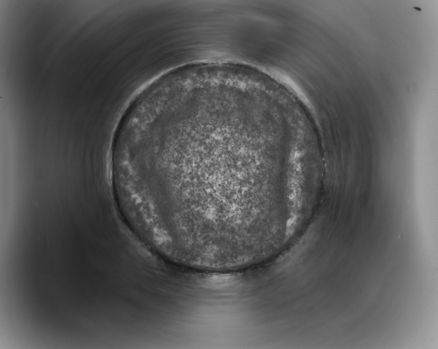 X0000089700839200707201739
