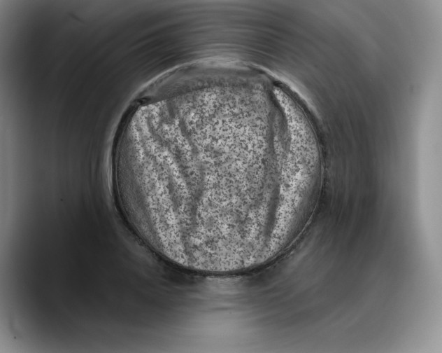X0000089700840200707201739