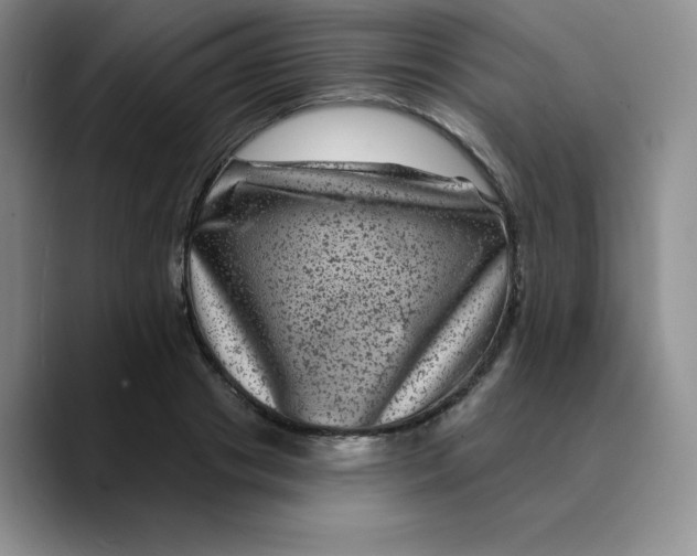 X0000089700841200707201739
