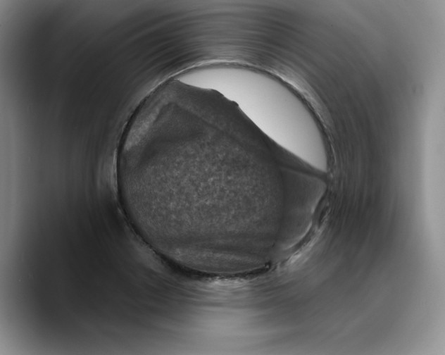 X0000089700842200707201739