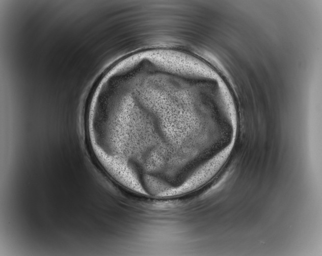 X0000089700843200707201739