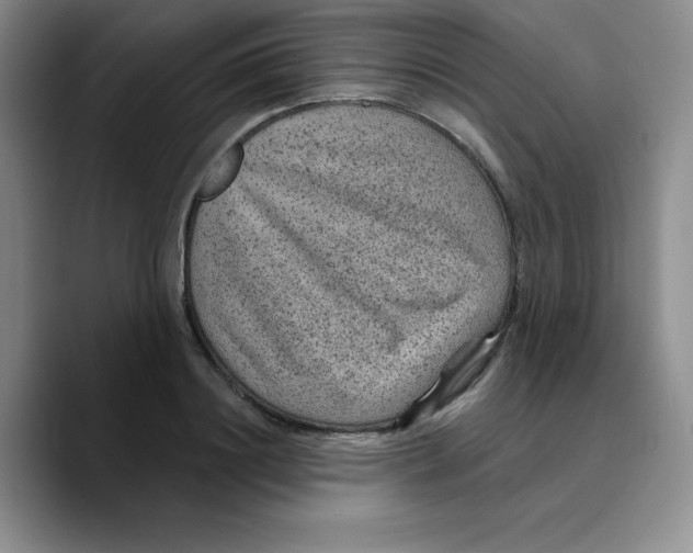X0000089700844200707201739