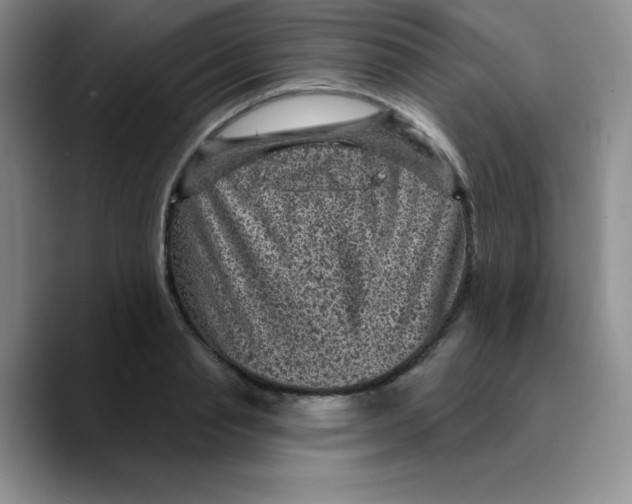 X0000089700845200707201739