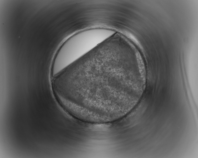 X0000089700847200707201739