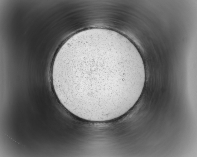 X0000089700848200707201739