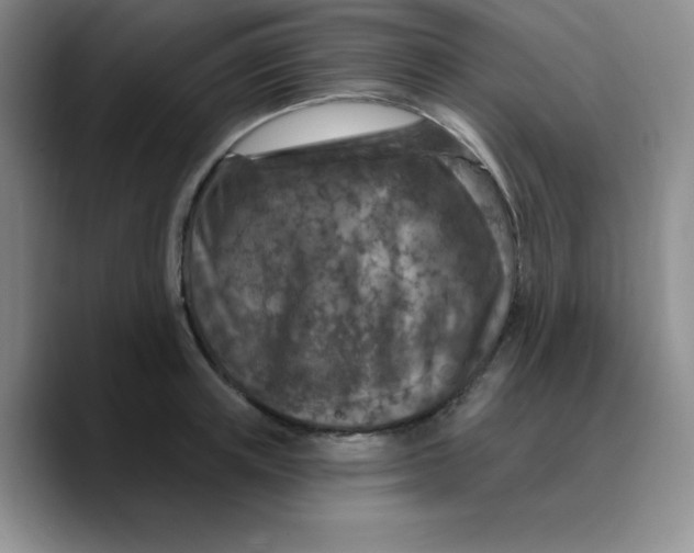 X0000089700851200707201739