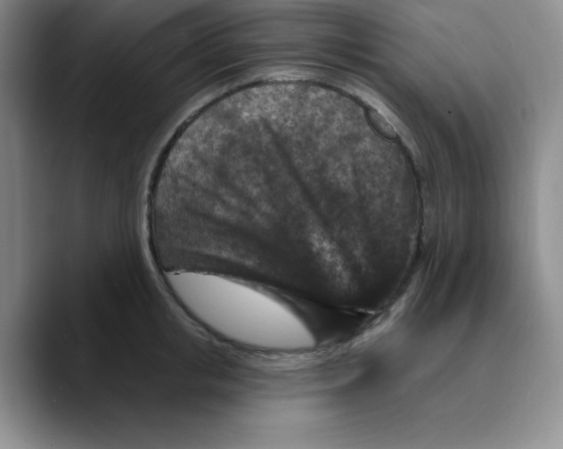 X0000089700853200707201739