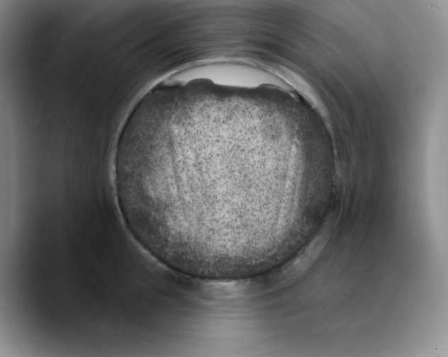 X0000089700855200707201739