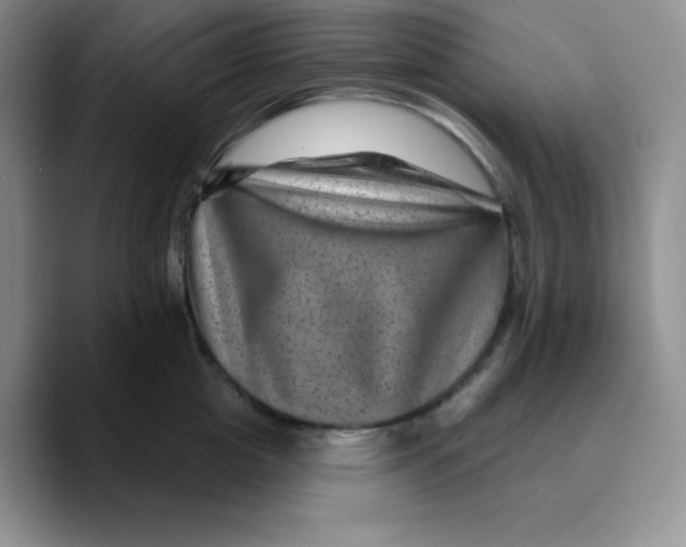 X0000089700857200707201739