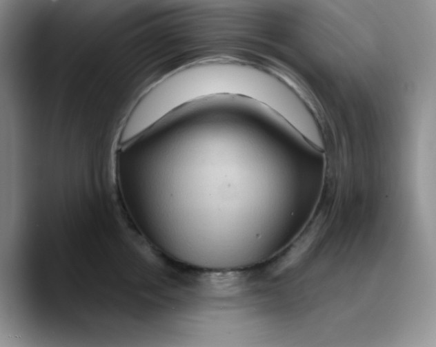 X0000089700858200707201739