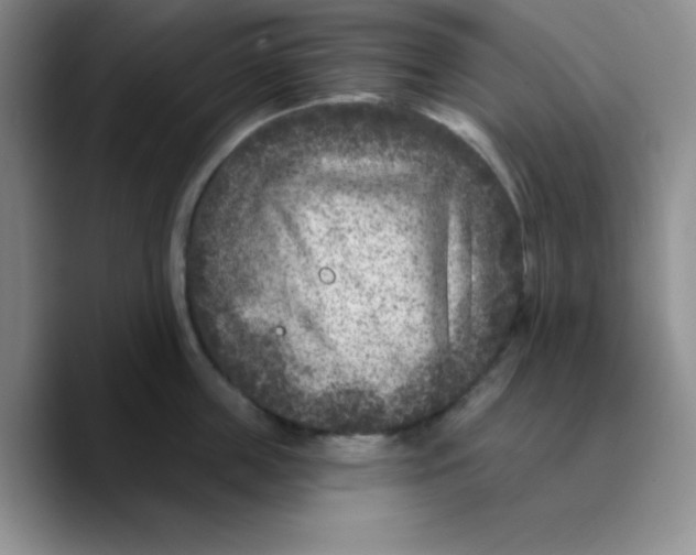 X0000089700859200707201739