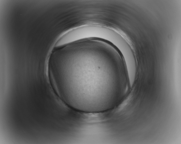 X0000089700862200707201739