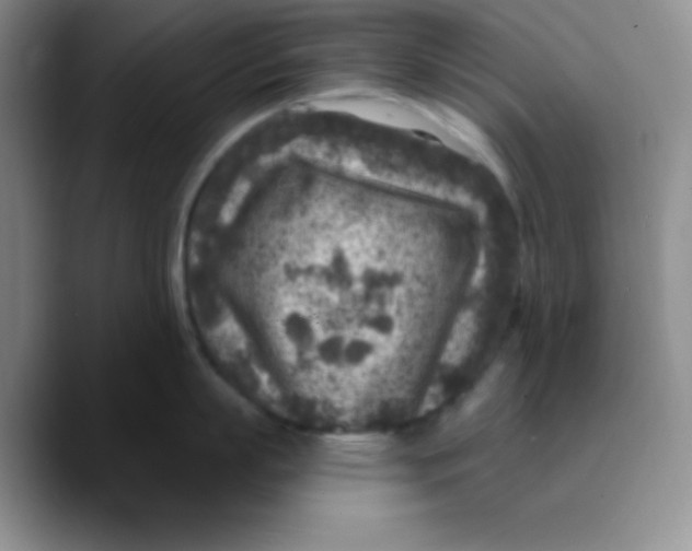 X0000089700863200707201739