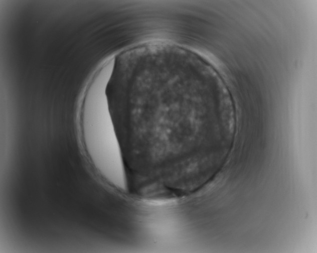 X0000089700864200707201739