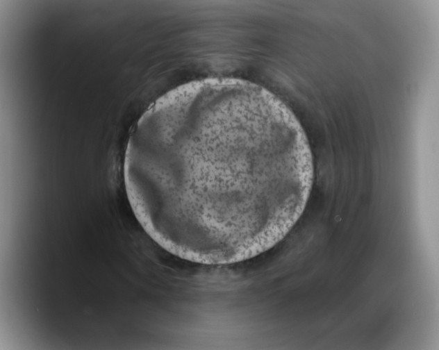 X0000089700866200707201738