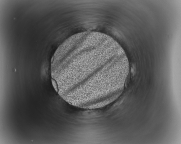 X0000089700867200707201738