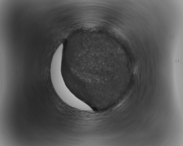 X0000089700868200707201738