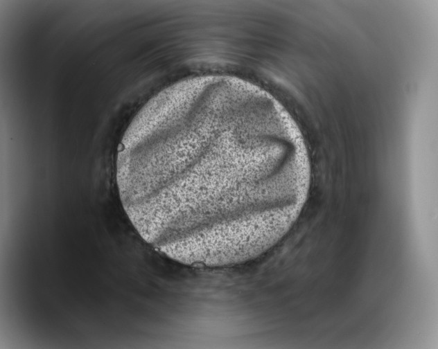X0000089700870200707201738