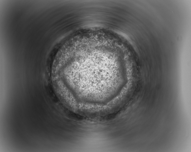 X0000089700871200707201738