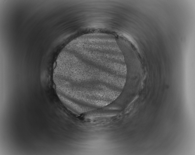 X0000089700872200707201738