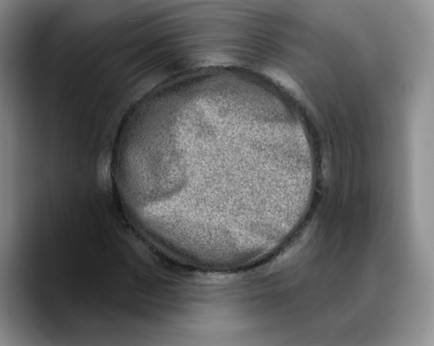 X0000089700873200707201738