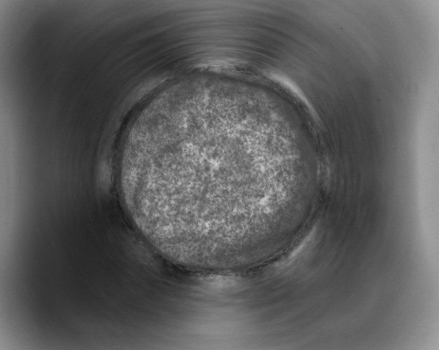 X0000089700874200707201738
