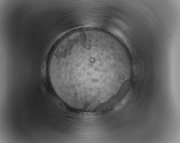 X0000089700875200707201738