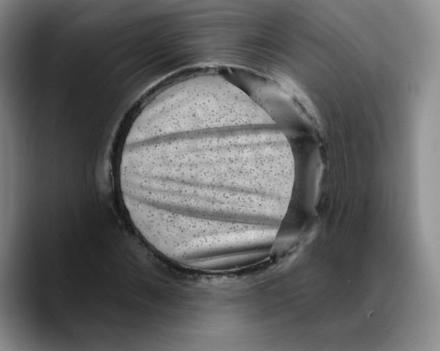 X0000089700876200707201738