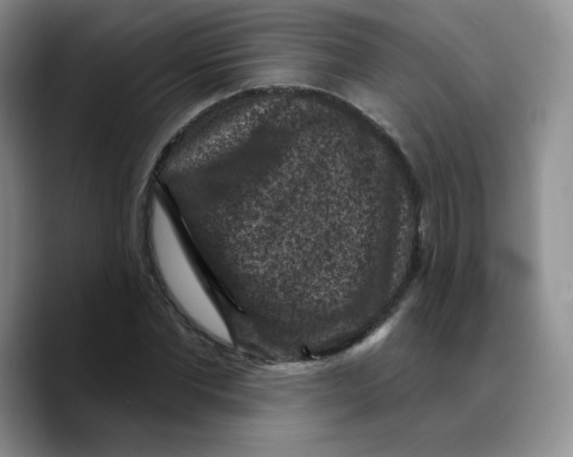 X0000089700877200707201738