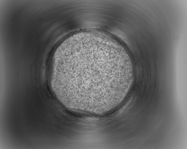 X0000089700878200707201738