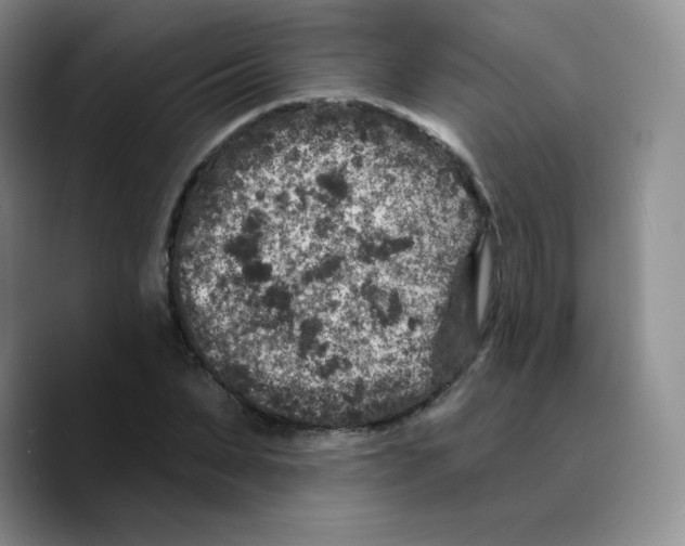 X0000089700879200707201738