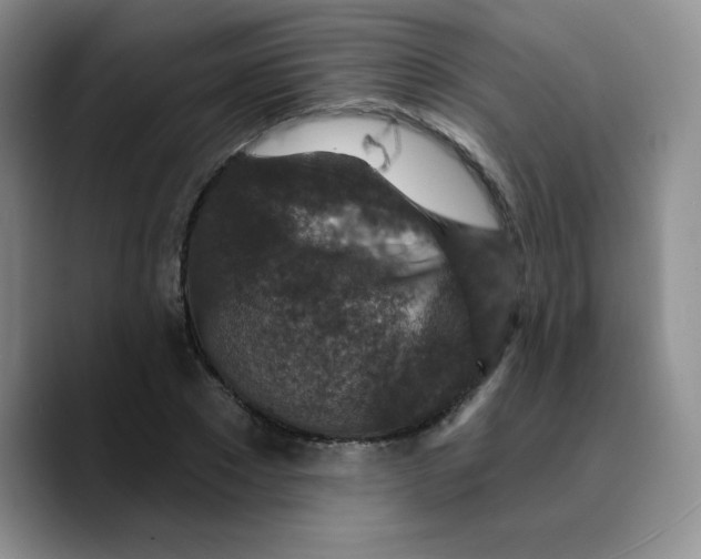 X0000089700881200707201738