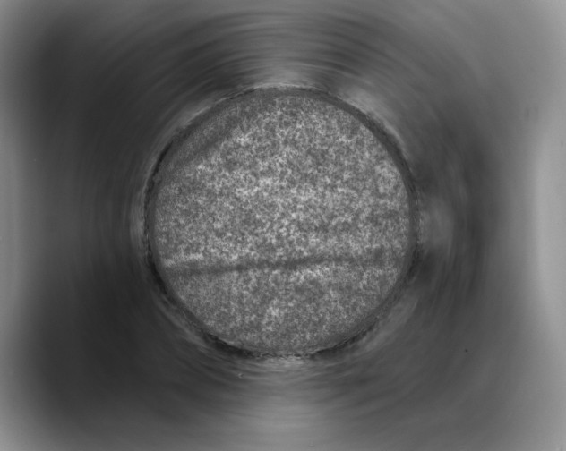 X0000089700882200707201738
