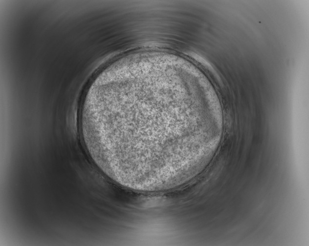 X0000089700886200707201738