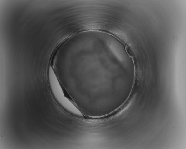 X0000089700889200707201738