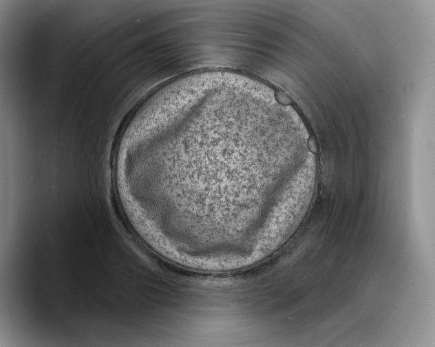 X0000089700890200707201738