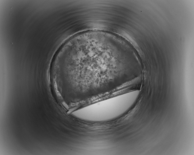 X0000089700891200707201738