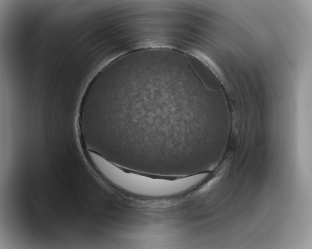 X0000089700893200707201738