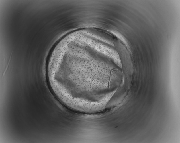 X0000089700894200707201738